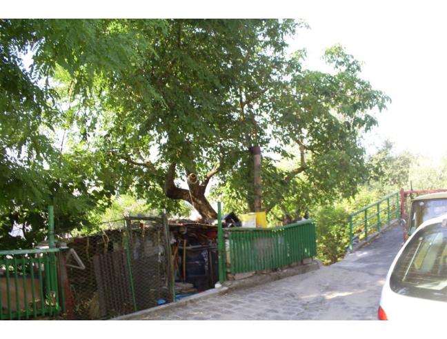 Anteprima foto 6 - Casa indipendente in Vendita a Vaglio Basilicata (Potenza)