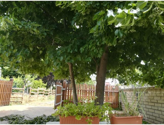 Anteprima foto 3 - Casa indipendente in Vendita a Velletri (Roma)