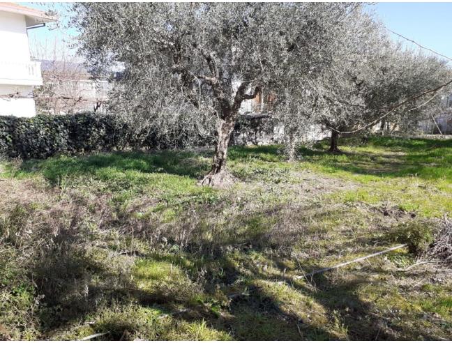 Anteprima foto 6 - Casa indipendente in Vendita a Venticano (Avellino)