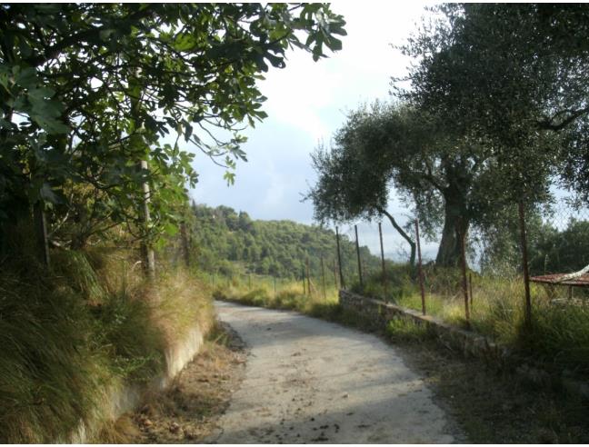 Anteprima foto 1 - Casa indipendente in Vendita a Ventimiglia (Imperia)