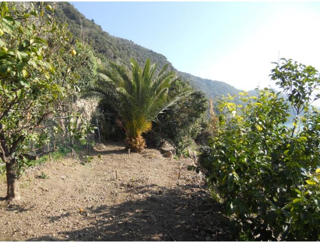 Anteprima foto 2 - Casa indipendente in Vendita a Vernazza - Corniglia