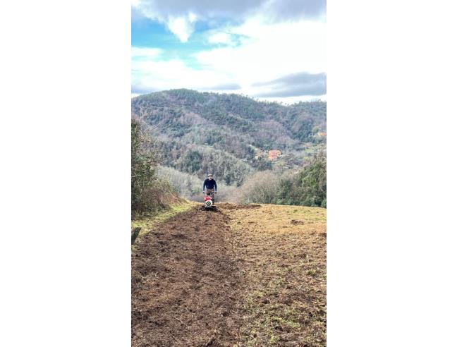 Anteprima foto 3 - Casa indipendente in Vendita a Vernazza (La Spezia)