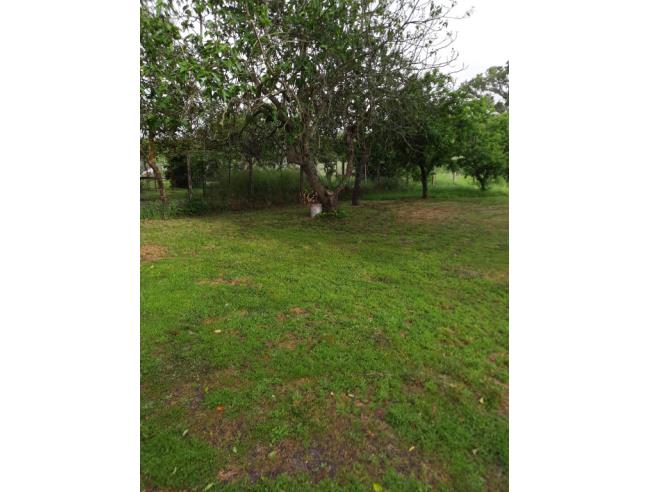 Anteprima foto 3 - Casa indipendente in Vendita a Vetralla (Viterbo)