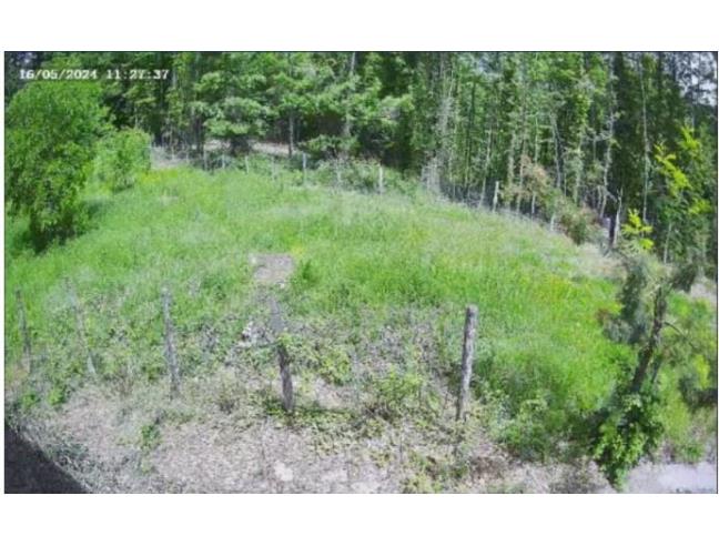 Anteprima foto 3 - Casa indipendente in Vendita a Viggianello (Potenza)