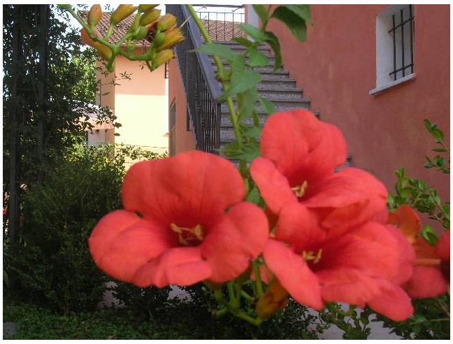 Anteprima foto 6 - Casa indipendente in Vendita a Villanova d'Albenga - Ligo