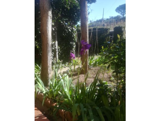 Anteprima foto 2 - Casa indipendente in Vendita a Vinci (Firenze)