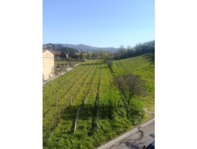 Anteprima foto 3 - Casa indipendente in Vendita a Vinci (Firenze)