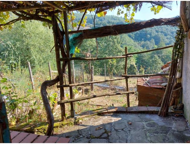 Anteprima foto 3 - Casa indipendente in Vendita a Zeri (Massa-Carrara)