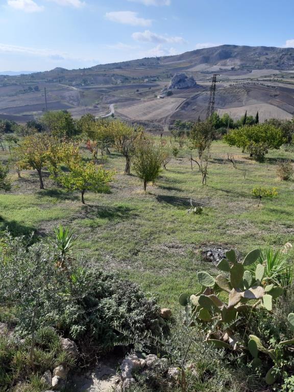 immagine annuncio 6 di 7