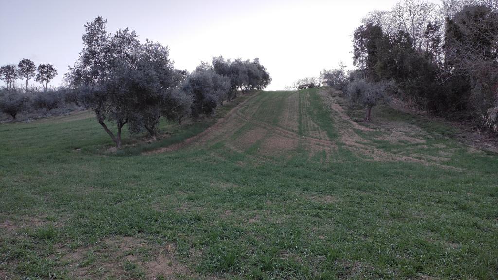 immagine annuncio 2 di 7