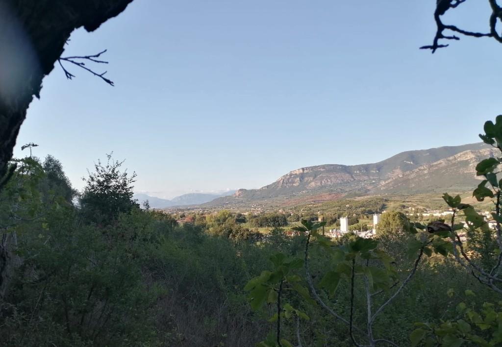 immagine annuncio 4 di 7