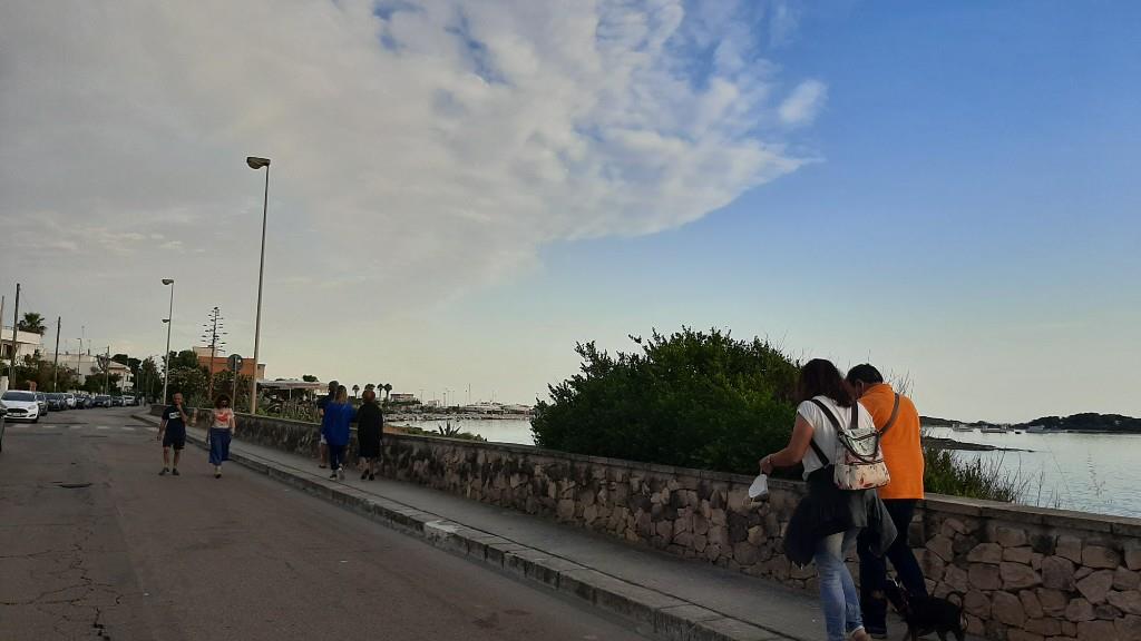 immagine annuncio 3 di 7