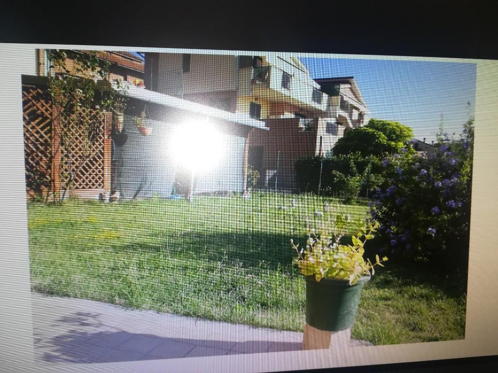 immagine annuncio 2 di 7