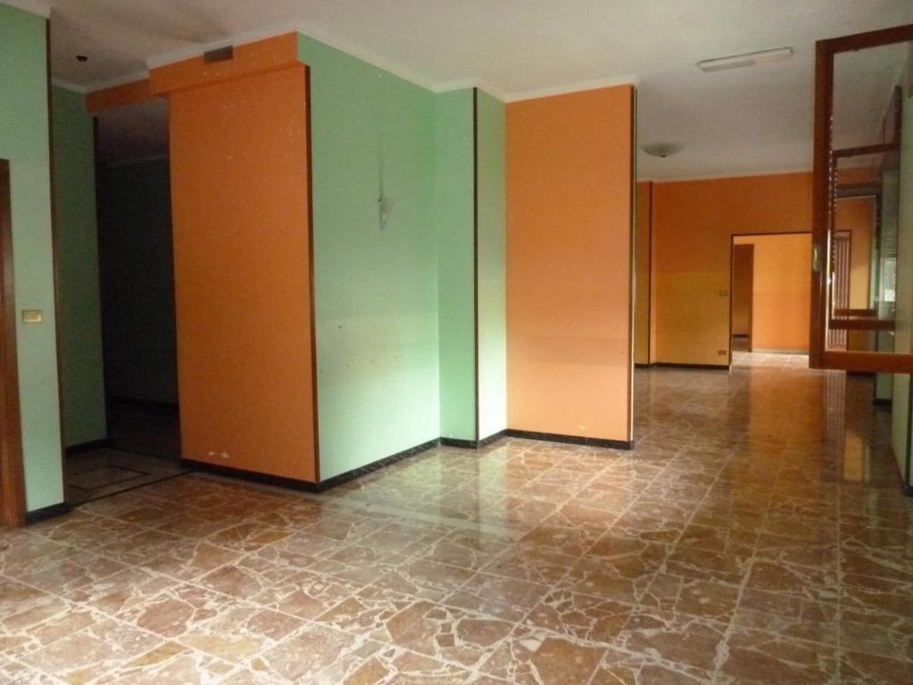 immagine annuncio 3 di 7