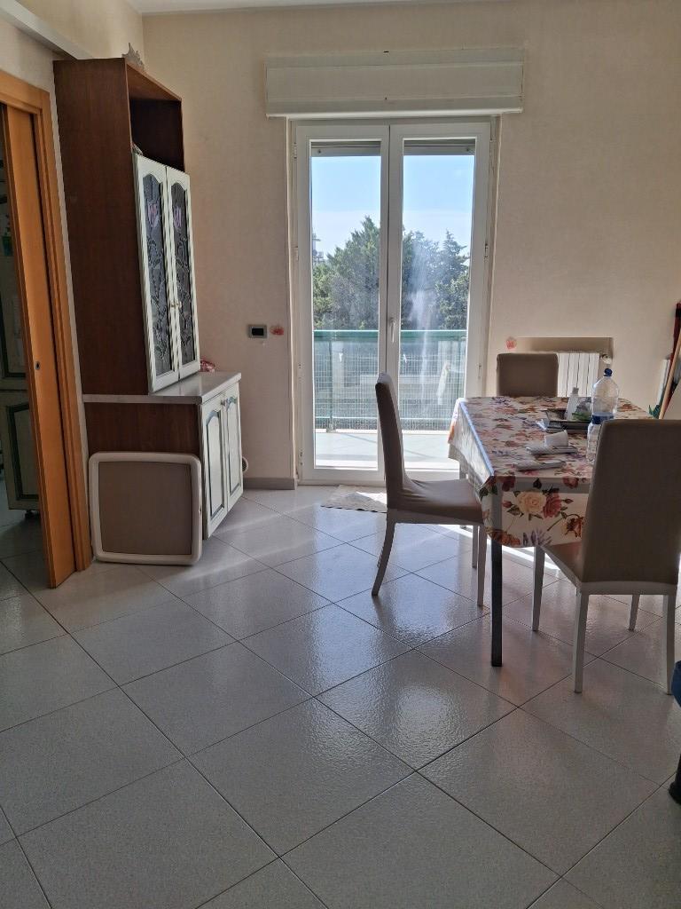 immagine annuncio 4 di 7