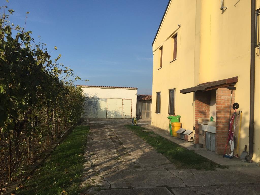 immagine annuncio 6 di 7