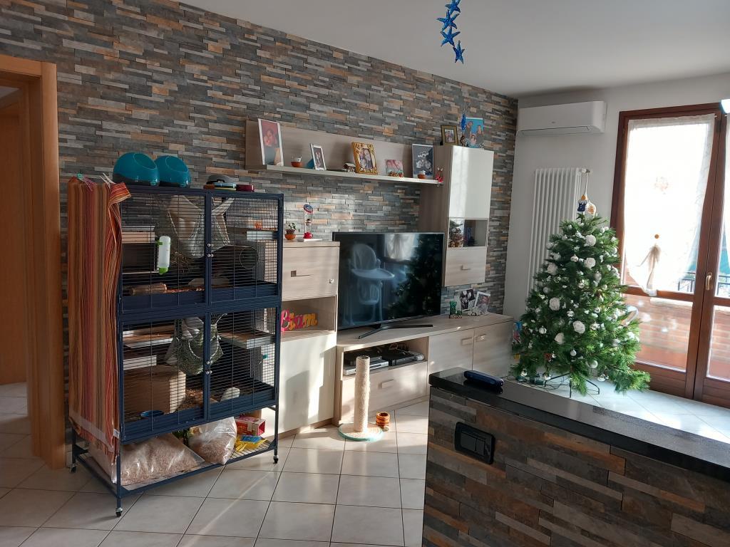 immagine annuncio 5 di 7