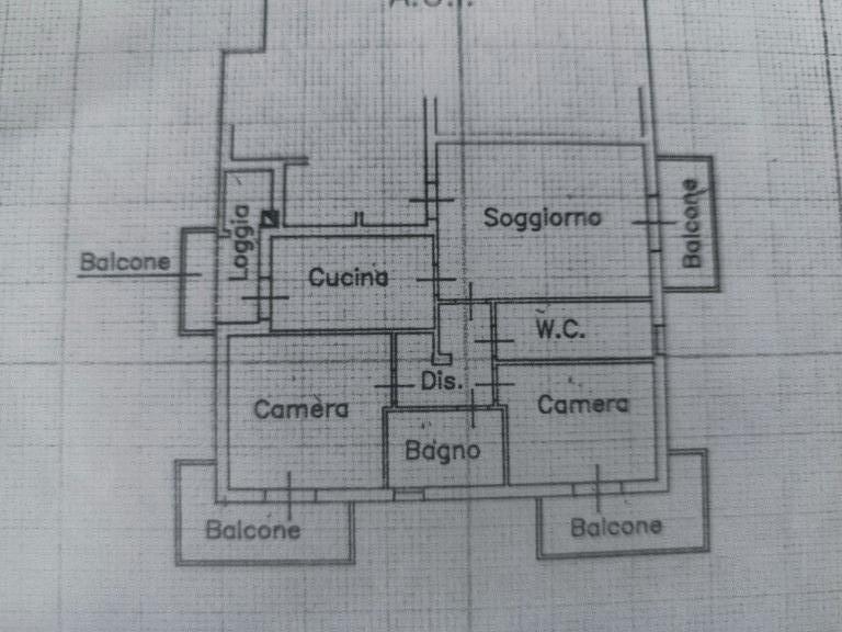 immagine annuncio 5 di 6