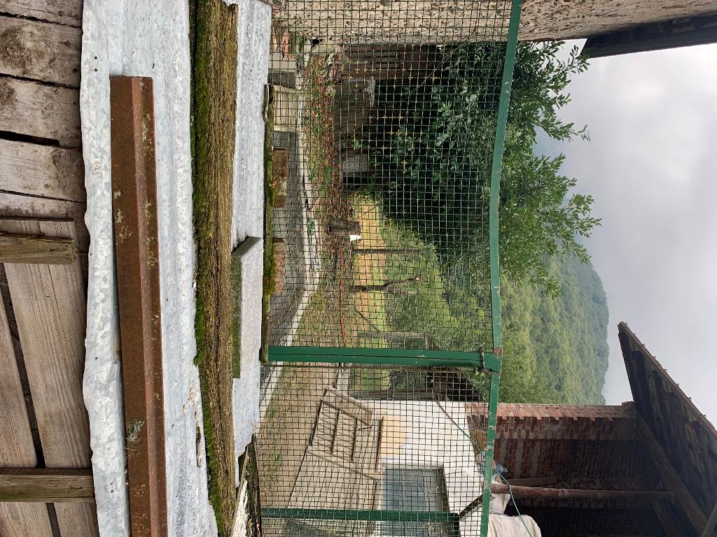 immagine annuncio 3 di 7