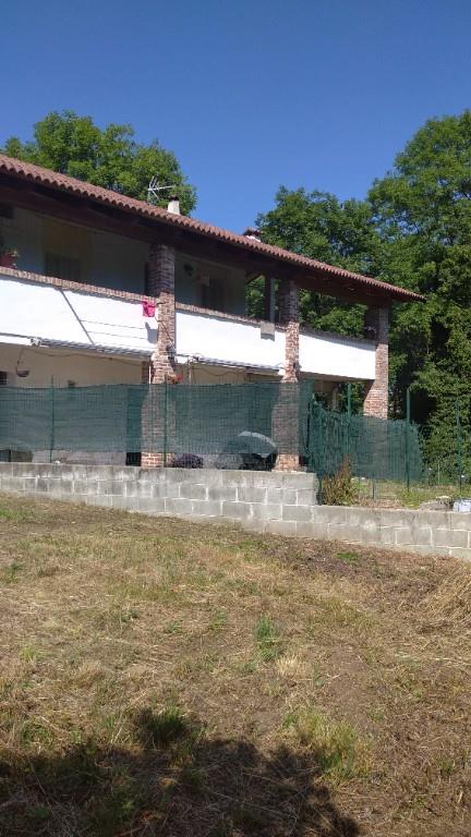 immagine annuncio 5 di 7