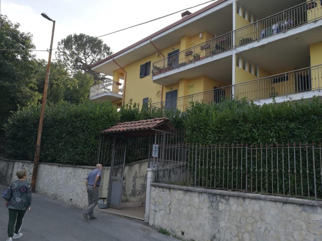 immagine annuncio 6 di 7