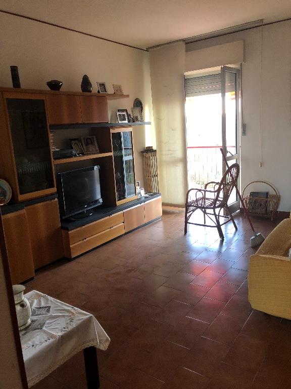 immagine annuncio 4 di 7