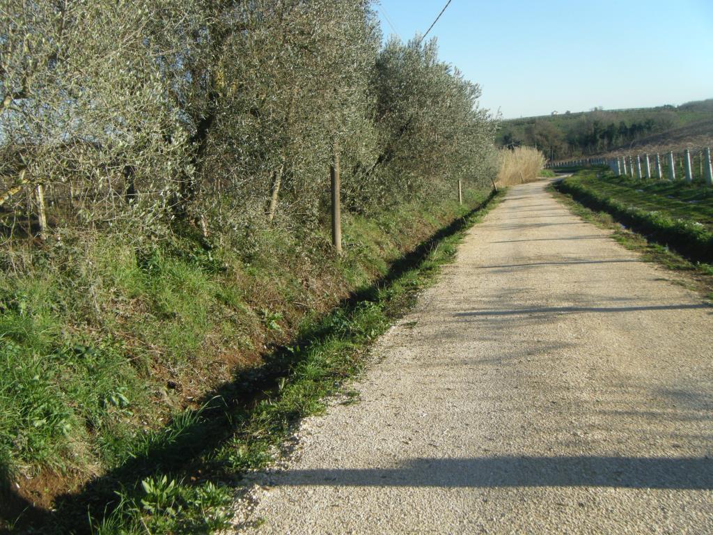 immagine annuncio 4 di 7