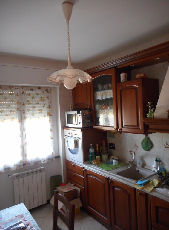 immagine annuncio 4 di 7