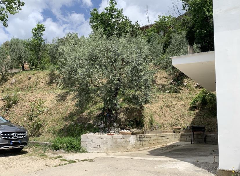 immagine annuncio 2 di 7