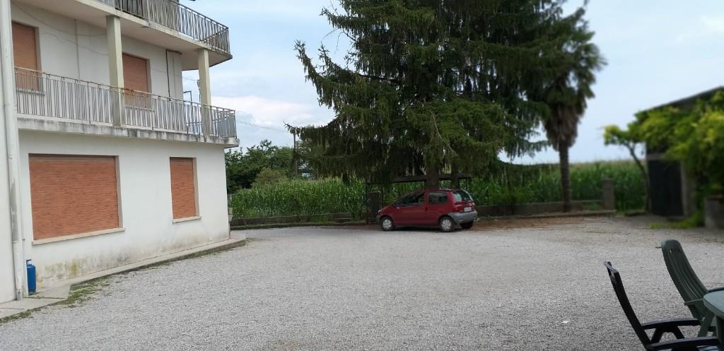 immagine annuncio 2 di 7