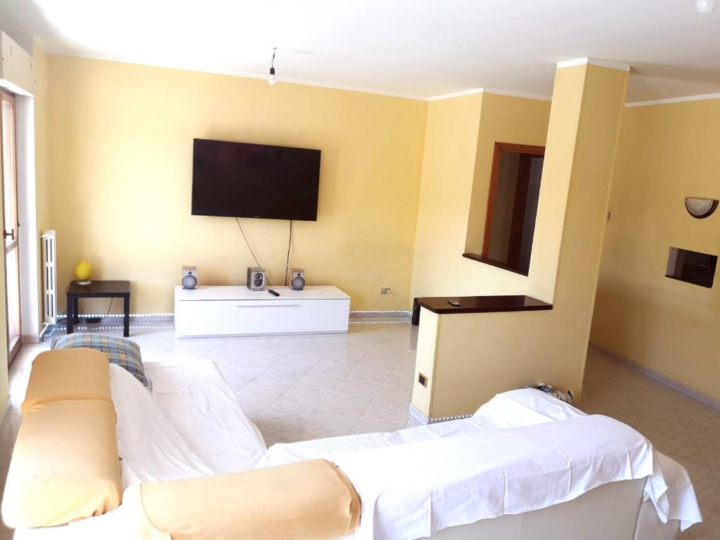 immagine annuncio 1 di 7