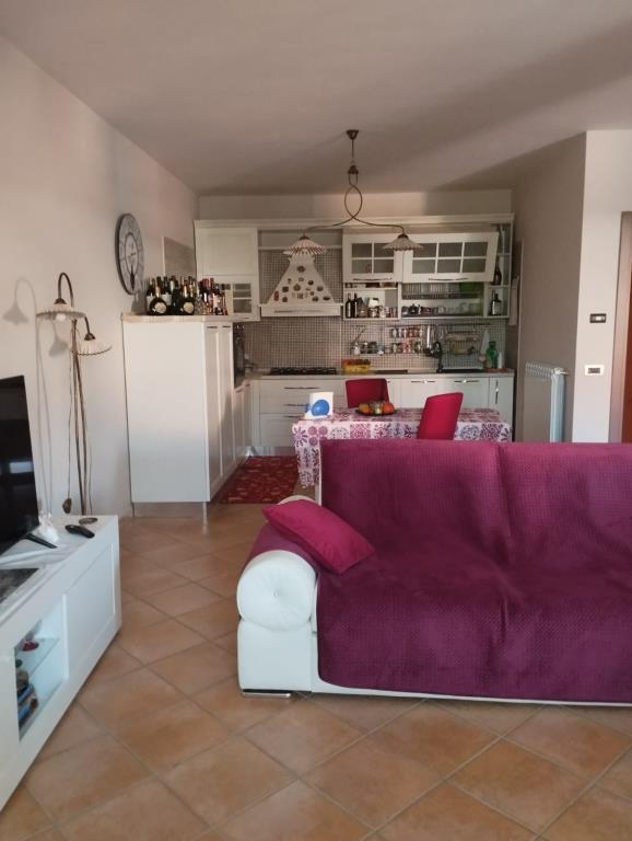 immagine annuncio 4 di 7