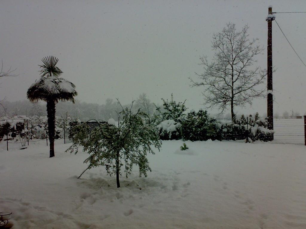 immagine annuncio 5 di 7