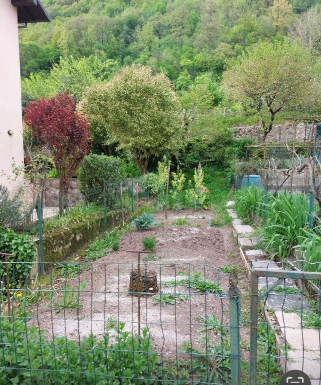 immagine annuncio 4 di 7