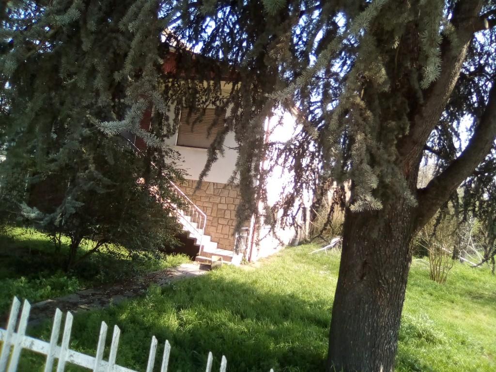 immagine annuncio 4 di 7