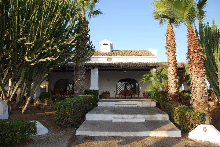 immagine annuncio 3 di 7