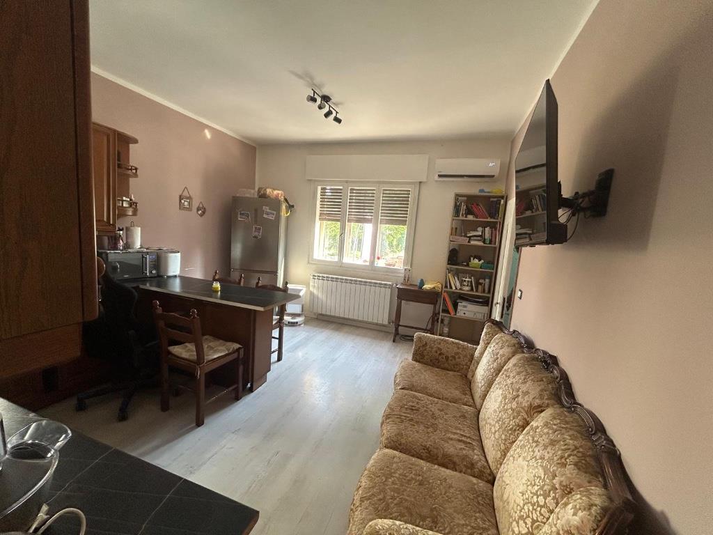 immagine annuncio 1 di 7