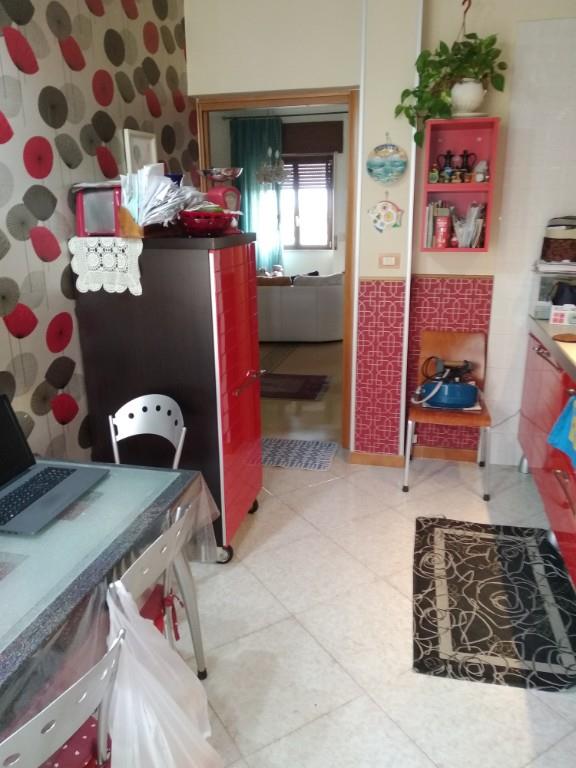 immagine annuncio 4 di 7