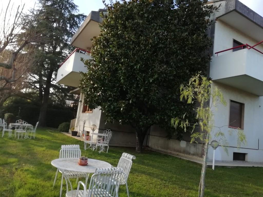 immagine annuncio 5 di 7