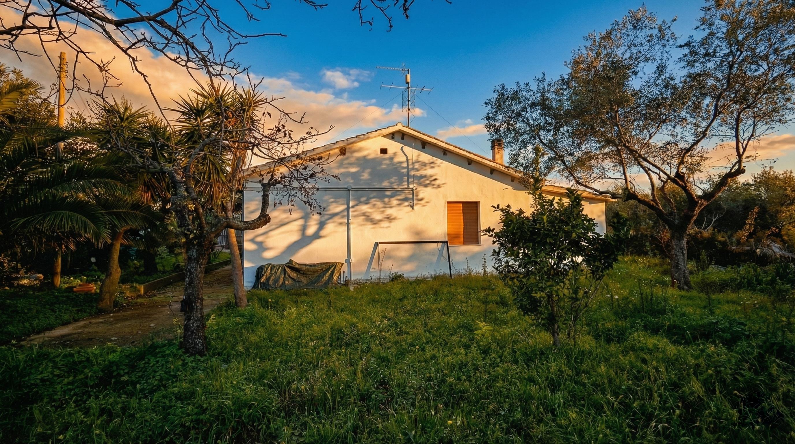 immagine annuncio 3 di 7