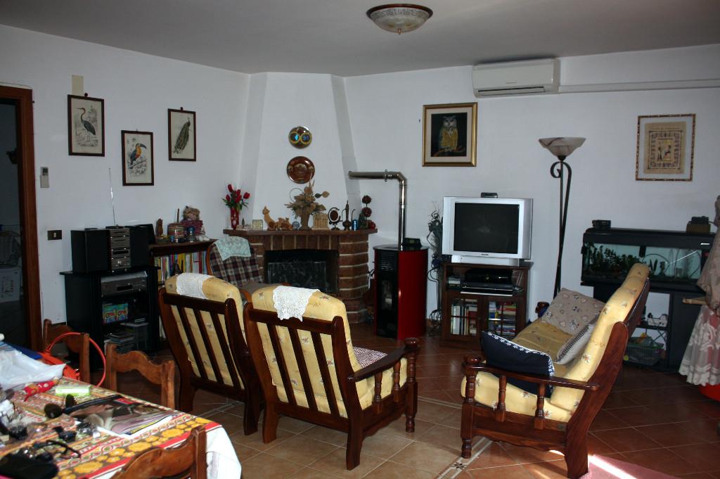 immagine annuncio 3 di 7