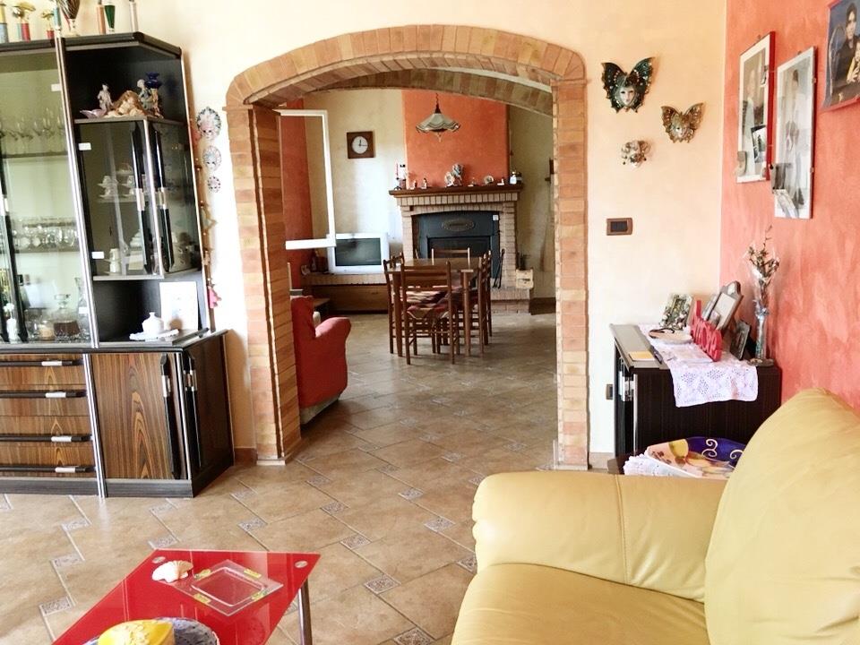 immagine annuncio 6 di 7