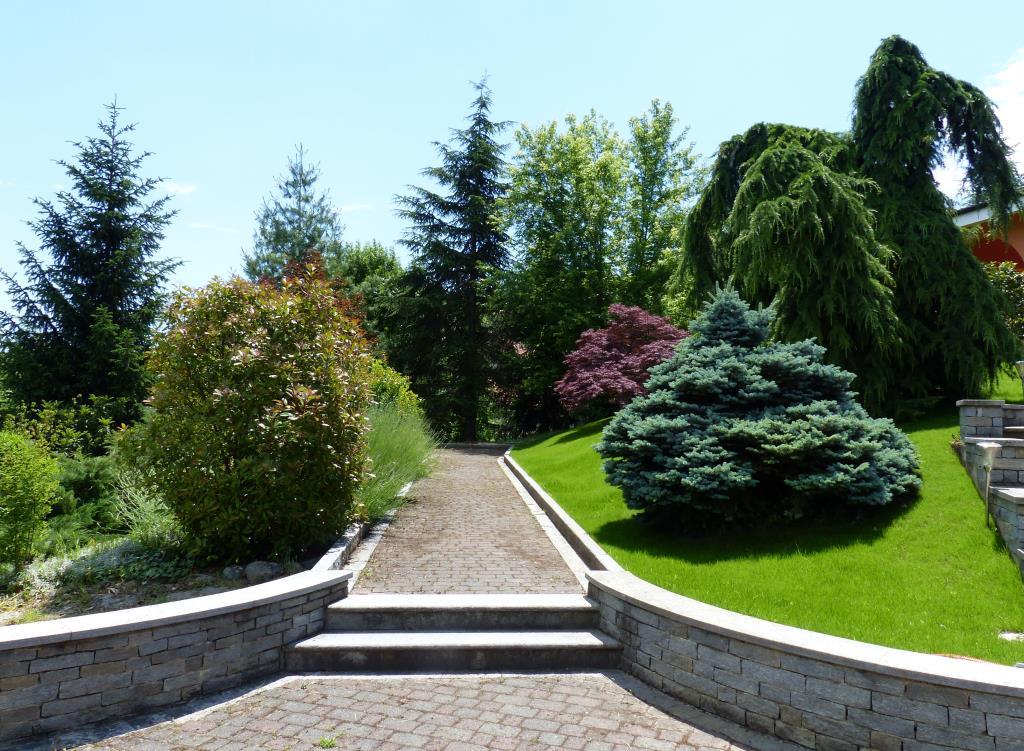 immagine annuncio 6 di 7