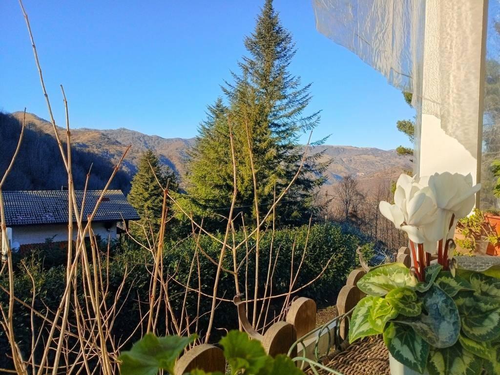 immagine annuncio 4 di 7