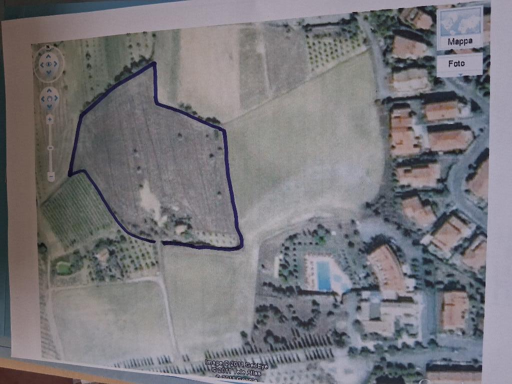 immagine annuncio 6 di 7