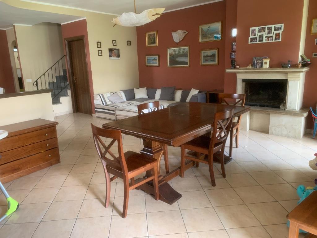 immagine annuncio 5 di 7