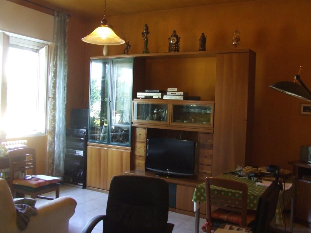 immagine annuncio 4 di 7