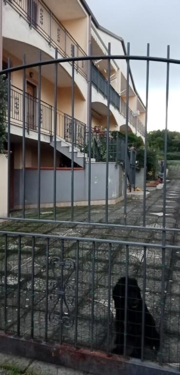 immagine annuncio 2 di 7