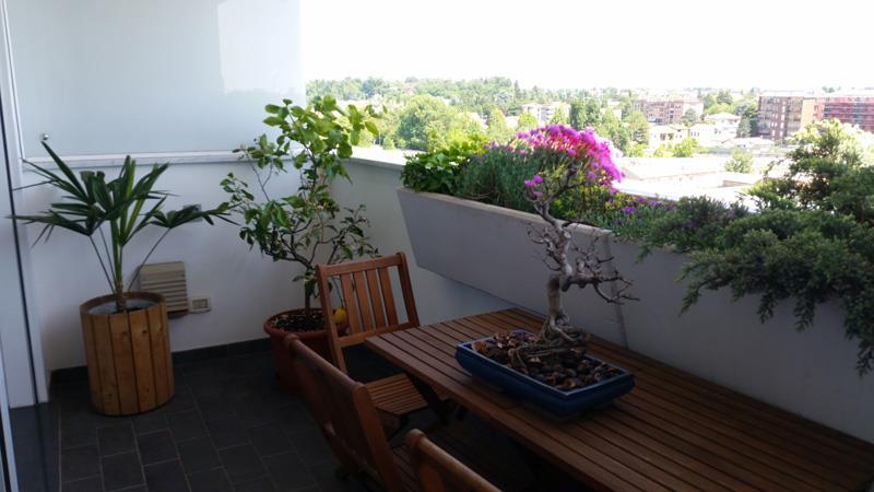 immagine annuncio 2 di 3