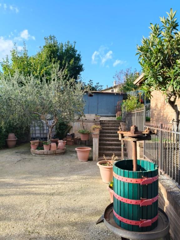 immagine annuncio 6 di 7